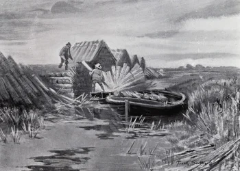 Norfolk Broads: Rietstapelen