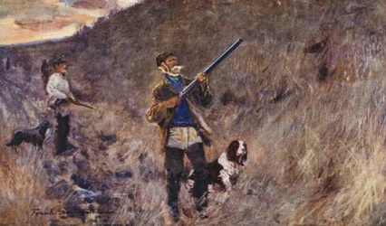 Wild Leven in Oost-Anglia: Bij de Zeedijk tijdens de vlucht, "Een beetje te hoog" (kleur litho)