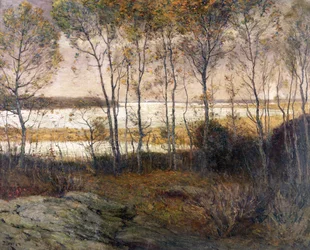 Zilverachtige wateren