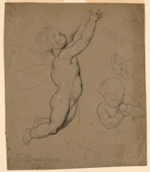 Studies van Putti