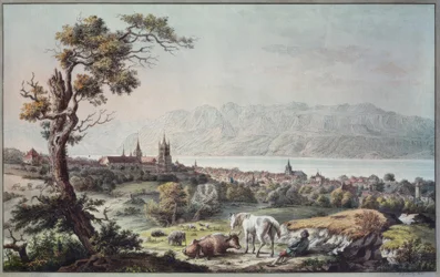 Uitzicht op Lausanne vanuit Beaulieu (Blick von Beaulieu auf Lausanne)