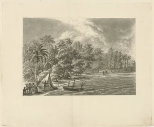 Tropisch landschap