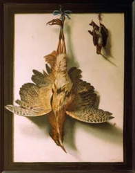 Trompe l’oeil met Dode Vogels