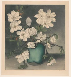 Magnoliatakken