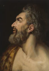 Studie Hoofd van een Bebaarde Man