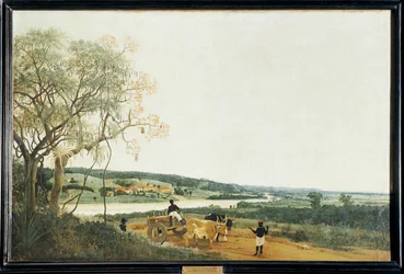 De ossenkar, het Braziliaanse landschap ...