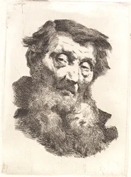 Oude man met gespleten grijze baard