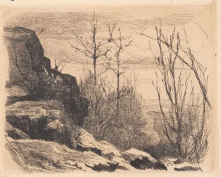 Proefplaat: Landschap met rotsen en bomen