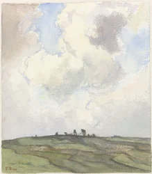 Boeten van netten op een grasveld achter de duinen