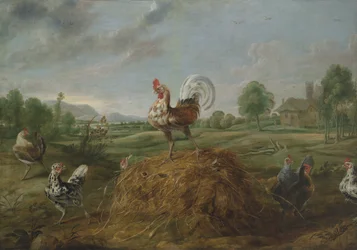 De haan en de parel