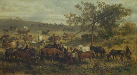 Paarden bij een trog