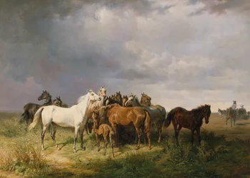 Paarden in de Puszta