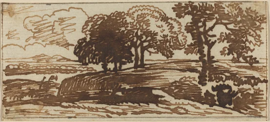 Landschap