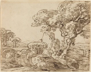 Landschap met bomen en rotsachtige kliffen
