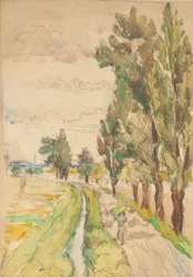 Landweg met bomen
