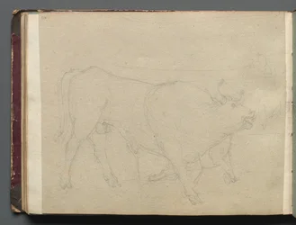 Album met Zichten op Rome en Omgeving, Landschapsstudies, pagina 51b: Studie van een Stier