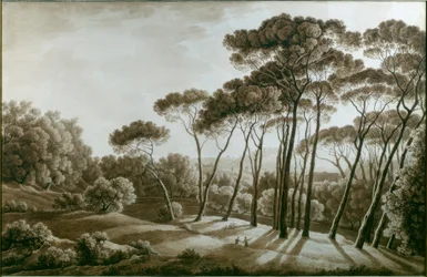 De pijnbomen van de Villa Doria Pamphili