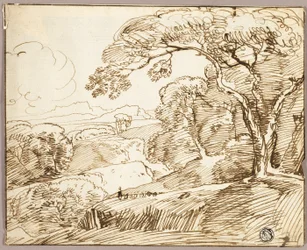 Panoramisch landschap