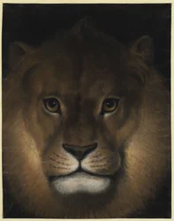 Leeuwenkop