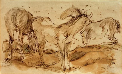 Paarden in de wei