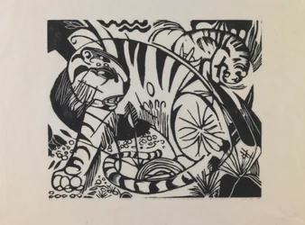 Tijger
