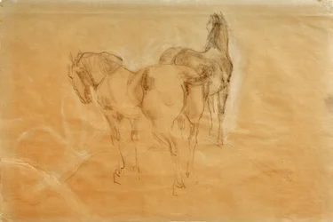 Twee paarden