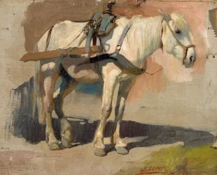 Aangespannen schimmel