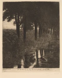 Forellen vijver