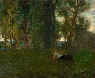 Grazende paarden