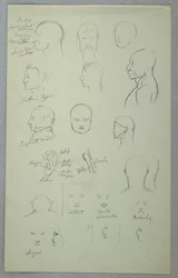 Anatomische studies