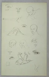 Anatomische Studies