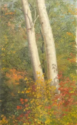 Berkbomen in de herfst