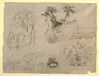Botanische studies en een huis, waarschijnlijk uit Colombia