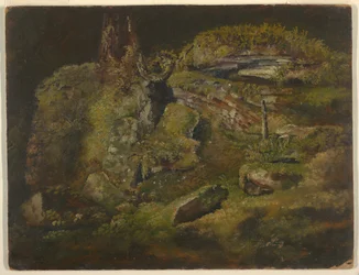 Rots in het Bos