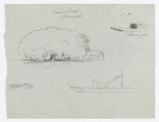 Ceiba boom bij Mompos, Champan kano, bomen en een gedeeltelijke boot, Rio Magdelena, Colombia