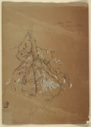 Tekening, Een knoestige wintergroene, Grand Manan, Canada, augustus 1851