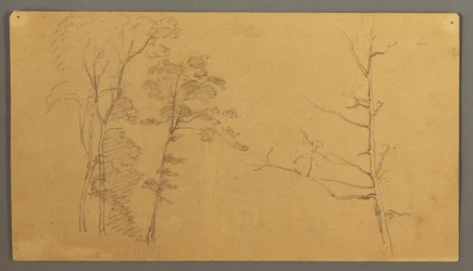Tekening, Een groep bomen met het bovenste deel van een dode boom, 1866