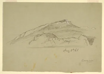 Tekening, Een boom, Beieren, 8 augustus 1868