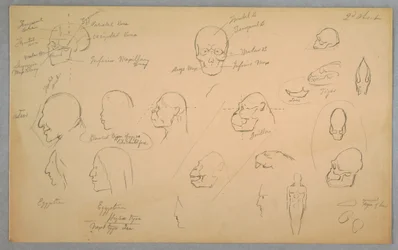 Tekening, Anatomische studies, 1865-70