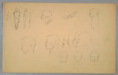 Tekening, Anatomische studies, 1865-70
