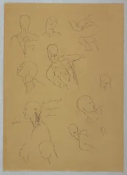 Tekening, Anatomische studies, 1865-70
