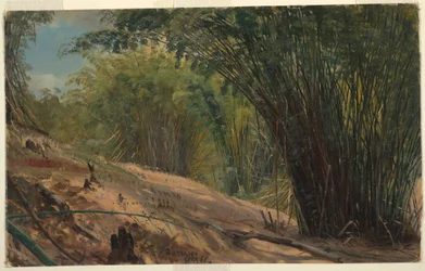Tekening, Bamboegaard, Jamaica, 1865