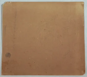 Tekening, Botanische Schetsen, Mogelijk Bamboes, Palmen en Struiken, Ecuador of Colombia, 1853 of 1857