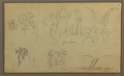 Tekening, Botanische Schetsen; Verso: Hagedis, Palm, 1857