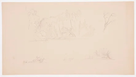 Tekening, Botanische schetsen: boom, bomen aan oever, september 1876