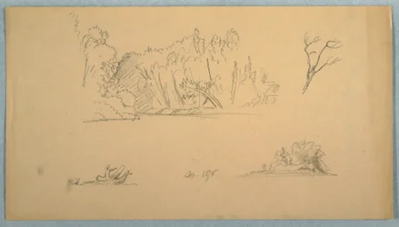 Tekening, Botanische schetsen: boom, bomen aan oever, september 1876