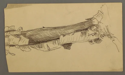 Tekening, onderdoorsnede van een dode boomstam, 1877