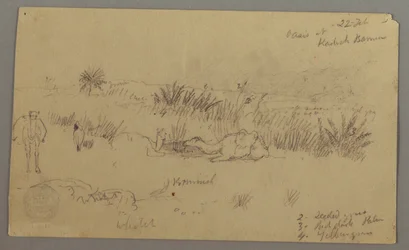 Tekening, Drinkende kamelen op een heuvel, 22 februari, mogelijk 1868