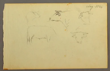 Tekening, Koeien, 1844