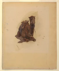Tekening, hurkende dromedaris, 1868